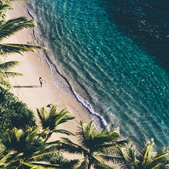 Meet your Posh Ambassador, Tee - Picture 5 of 6